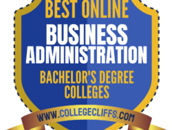 Understanding Online College Business Degrees: An Overview