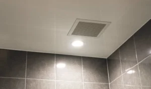Hexos untuk Kamar Mandi, Solusi Ruangan Bebas Lembap dan Bau Tidak Sedap
