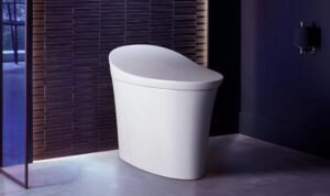 Kloset Pintar, Perangkat Kamar Mandi yang Mulai Jadi Simbol Hunian Modern